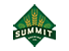 custom-icon