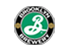 custom-icon
