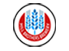 custom-icon
